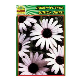 Насіння Диморфотека Блиск зірки 0,2 г (Насіння країни)