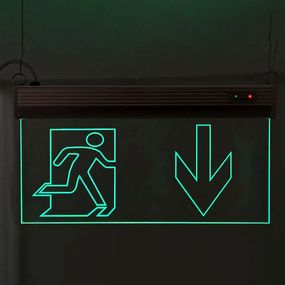 Светильник аварийный эвакуационный Двері Прямо S503 ACRYLIC LED 3W GRAVING Ny95000497