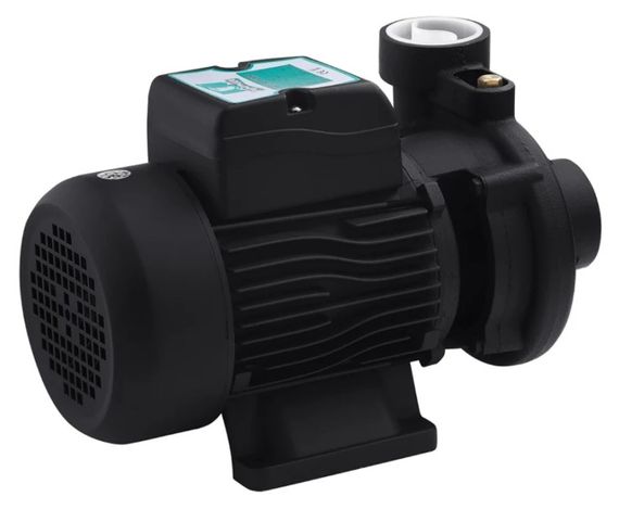 Насос поверхневий відцентровий Pumpman 2DK20 Нmax 17 м Qmax 27 куб.м 2"х2" 750 Вт (CV029761) | Зображення 4