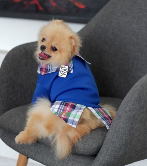 Толстовка з сорочкою синя Y-297