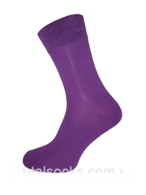 Шкарпетки чоловічі довгі кольорові демісезонні р.41-43 ТМ Twinsocks Фиолет