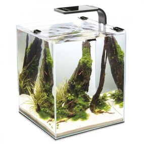 Акваріум Aquael Smart Day Night для креветок чорний прямий 30 л