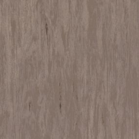 Гомогенний лінолеум Tarkett Standart PlusS (2.0 mm) DARK BEIGE 0482  ширина 2 м
