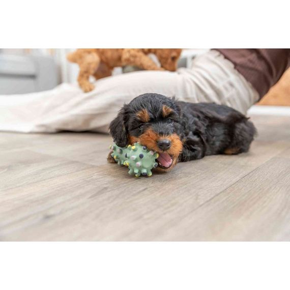 Іграшка Trixie Junior Mini Dumbbell для цуценят Гантель голчаста латекс 10 см | Зображення 4