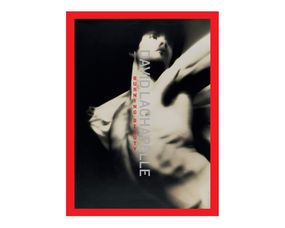 Книга найкращі фотографи світу Девід Лашапель David LaChapelle "Burning Beauty" подарункові книги з фотографії