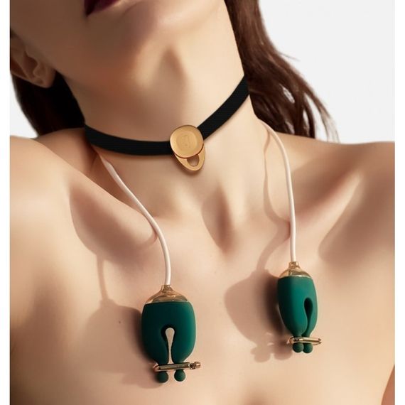 Набор зажимы для сосков с вибрацией и ошейник Qingnan No.2, зеленый sexstyle | Зображення 3