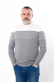 Светр чоловічий Носи своє L Сірий (p-16504-190842)