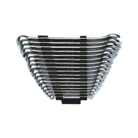 Набір ключів комбінованих SW 6 -22, 17 шт.