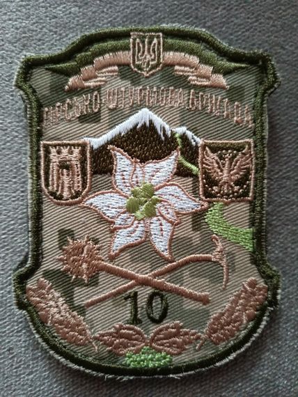 Шеврон 10 гірсько штурмова бригада | Зображення 1