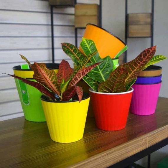 Горщик Ібіс 13 х 11,2 см золотий | Зображення 2