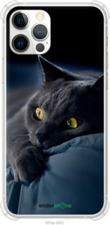 Чохол на iPhone 12 Pro Димчастий кіт "825sp-2052-2448"