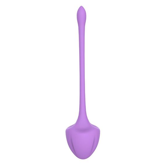 Набор вагинальных шариков Virgo purple sexstyle | Зображення 2