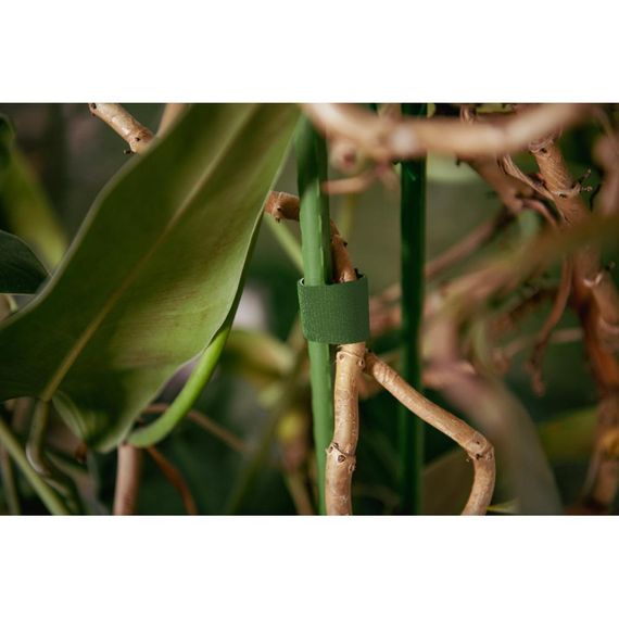 Багатофункціональна стрічка Bradas Т рулон на липучці, 12,5 мм х 2 м, зелений (TYHLT12502/GR) | Зображення 1