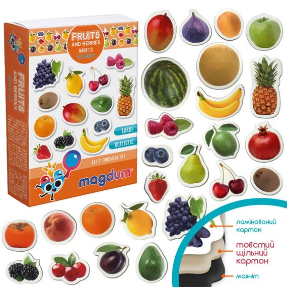 Набор магнитов Magdum "Фрукты и ягоды" ML4031-11 EN | Зображення 4