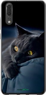 Чохол на Huawei P20 Димчастий кіт "825u-1396-2448"