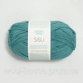Шкарпеткова пряжа Sandnes Garn Sisu 50 г, 7024