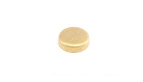 Заглушка блоку циліндрів d=21mm Латунь Brass 40954