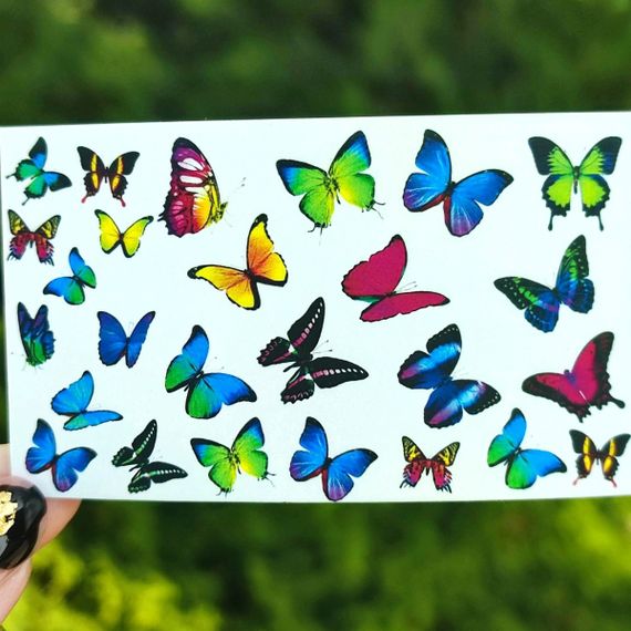 Слайдер B-07 на водяній основі (5x8см)