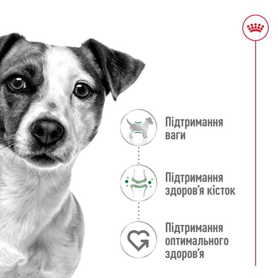 Корм Royal Canin Mini Adult сухой для собак мелких пород 8 кг | Зображення 1