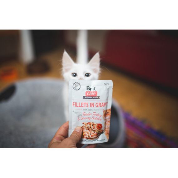 Корм вологий Brit Care Fillets in Gravy Tender Turkey and Savory Salmon д/котів філе в соусі з індичкою та лососем 85 г | Зображення 2