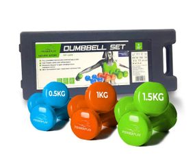 Набір гантелей в кейсі 6 кг PowerPlay 4103 Fitness Dumbells 2 шт *0,5 кг, 2 шт*1 кг, 2 шт*1,5 кг (PP_4103_6kg)
