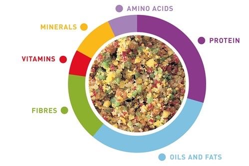 Додатковий корм для зерноїдних птахів Padovan Melange Fruit, 300 гр | Зображення 1