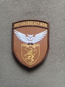 Шеврон Aut Vincere Aut Mori