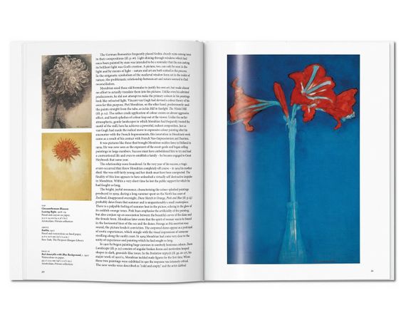 Книга Mondrian - Taschen | Зображення 2