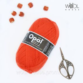Шкарпеткова пряжа Opal Sockenwolle uni, 5181