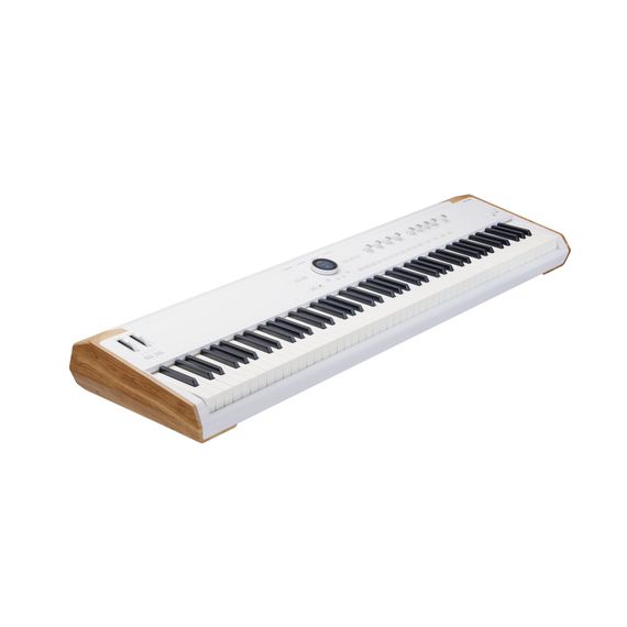 Синтезатор Arturia AstroLab 88 | Зображення 2