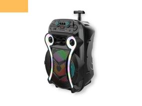 Портативная колонка бумбокс XPRO ZQS15102 чемодан  30Вт, USB, SD, FM радио, Bluetooth, 1 микрофон, ДУ (MER-15703)
