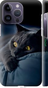 Чохол на iPhone 14 Pro Max Димчастий кіт "825m-2667-2448"