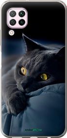 Чохол на Huawei Nova 6SE Димчастий кіт "825u-1823-2448"