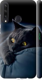 Чохол на Huawei Y6p Димчастий кіт "825m-1952-2448"