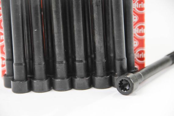 Болти ГБЦ MB/SSANGYONG C-E-G-S-Class W140,W202,W124,W210 2,8-3,2 M104, ELRING (759640) | Зображення 1