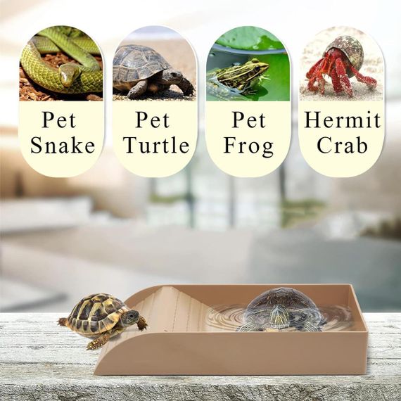 Ванночка и поилка для черепах, рептилий, миска емкость для воды для ползающих животных, ящериц для террариума | Зображення 4