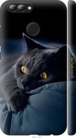 Чохол на Huawei Nova 2 Димчастий кіт "825m-1021-2448"