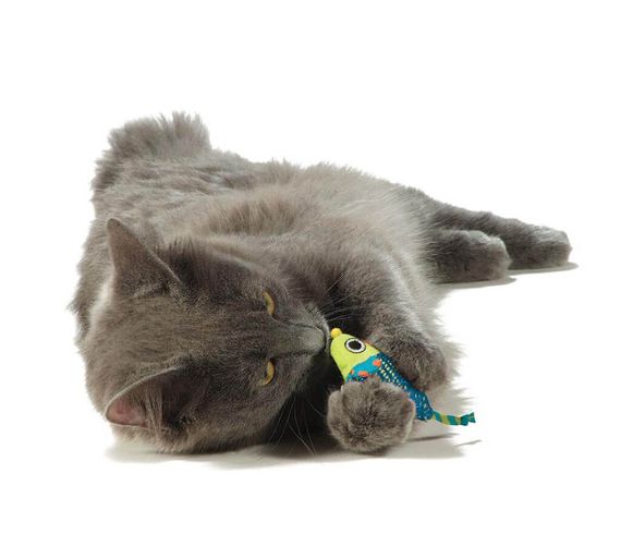 Іграшка для котів OutwardHound Petstages Catnip Chew Mice | Зображення 1