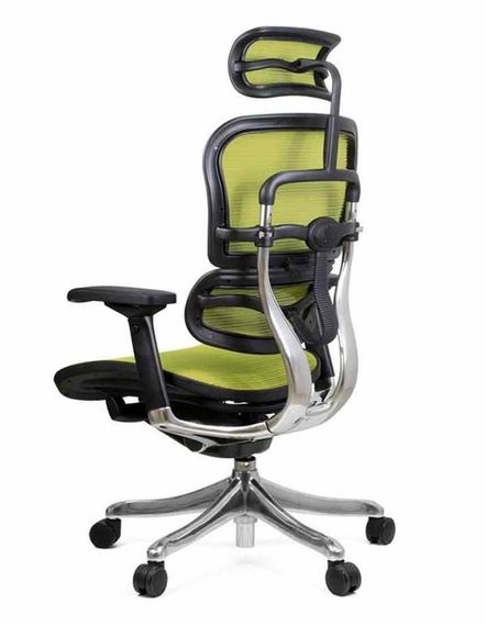 Кресло компьютерное ERGOHUMAN Plus Green | Зображення 2