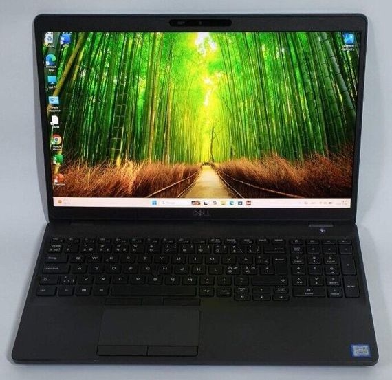 Мобільна робоча станція Б-клас Dell Precision 3541 / 15.6" (1920x1080) IPS / Intel Core i7-9850H (6 (12) ядер по 2.6 - 4.6 GHz) / 16 GB DDR4 / 512 GB SSD / nVidia Quadro P620, 4 GB GDDR5, 128-bit / WebCam / Win 11 Pro б/в + Подарунок Флеш-накопичувач 64GB | Зображення 1