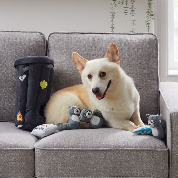 Іграшка інтерактивна для собак Outward Hound Hide A Raccoon, 32 см | Зображення 1