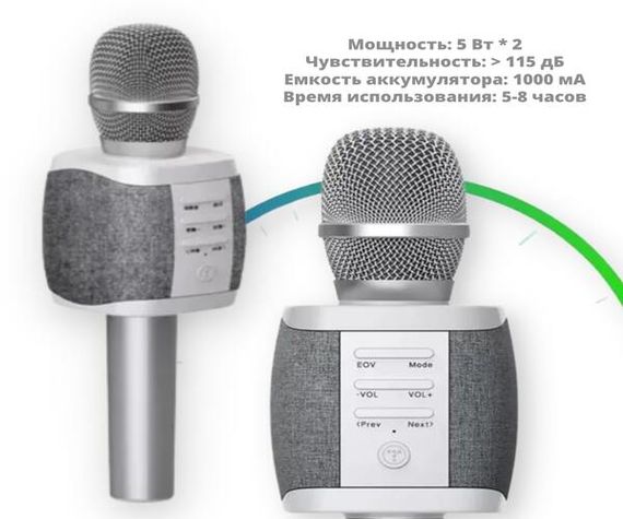 Портативний бездротовий караоке мікрофон 2в1 Функція Bluetooth Колонки + режим фонограми Tosing XR-27 Сірий (XR-27_1340) | Зображення 1