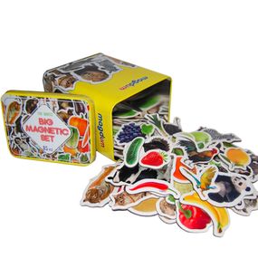 Набір магнітів Magdum "Дитячий світ" ML 4031-61 EN
