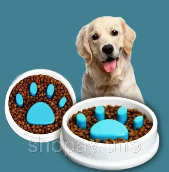 Годівниця для повільної подачі їжі Paw Perfect для котів та собак · Миска Slow Feeder Bowl для домашніх тварин | Зображення 1