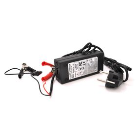 Зарядка Merlion для АКБ LiFePO4 12V(14.6V), 4S, 2A-24W + крокодилы, OEM, Q70