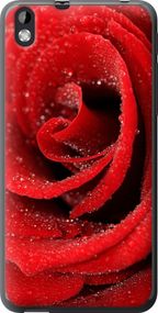 Чехол на HTC Desire 816 Красная роза "529u-169-17620"