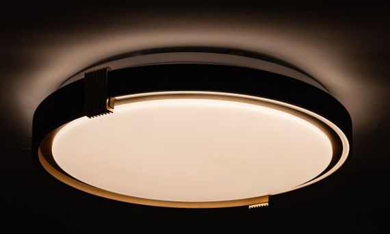 COLISEUM матовий 60W 395*60мм 3000К-6500К з ДК чорне золото | Зображення 3