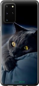 Чохол на Samsung Galaxy S20 Plus Димчастий кіт "825t-1822-2448"