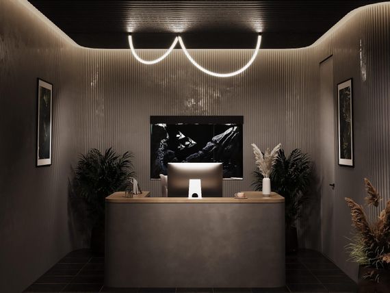 Неоновий світильник PROLUM™ для магнітної трекової системи M20; 24W; 48V; SERIES "NT"; Білий 4000K; 2М | Зображення 3