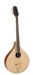 Мандоліна Richwood RIMA-40